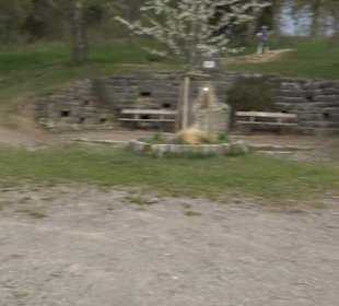 Martinsberg-Tour