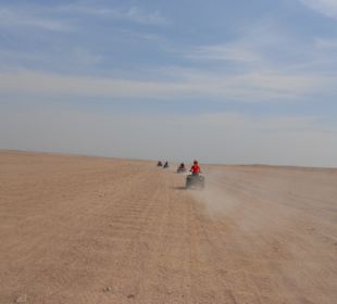 Ganz schönes Tempo..aber schön flache Piste.