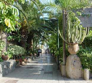 Weg zum Restaurante Molino Blanco