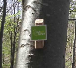 Wanderweg Hochgehkämpft