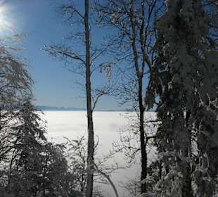 Sneeuw op de Uetliberg