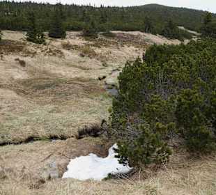 Berg Schneekoppe/Śnieżka