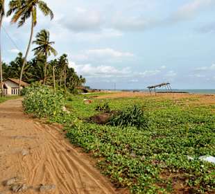 Weg zum Tsunami-Denkmal