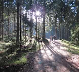 Wandern Sankt Oswald-Riedlhütte