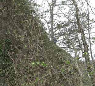 Wanderung rund um das Rusenschloss Gerhausen