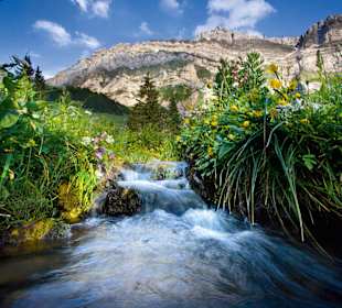 NaturErlebnispark Schwägalp/Säntis