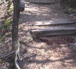 Teufelstisch Hinterweidenthal