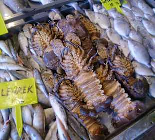 Fischmarkt in Alanya, riesiege Auswahl