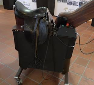 Gestütsmuseum Offenhausen