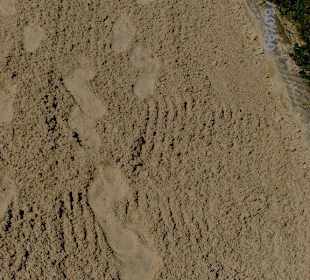 Schritte im Sand