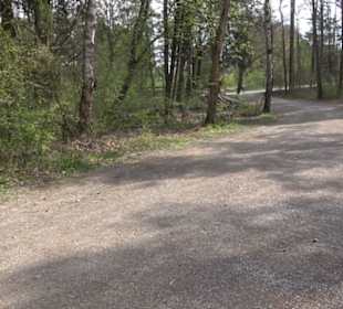 Vitus Mayer Waldlehrpfad