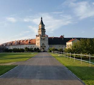 Habsburgerschloss Wallsee