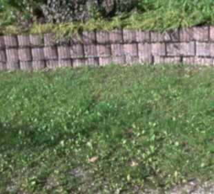 Tennisplätze Kohlstetten