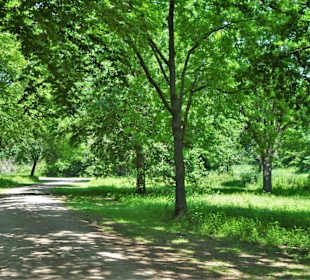 Rundweg um den Krimpelsee