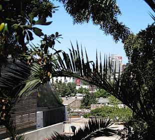 La Chascona