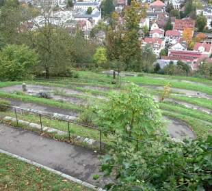 Aussichtspunkt an der Veitsburg