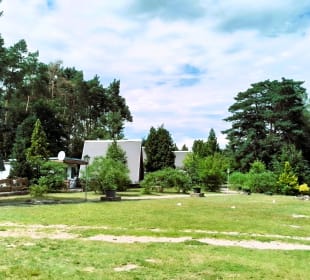 Ferienpark - Schwielochsse