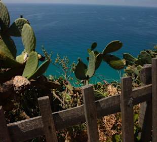 Capo Vaticano 4 km