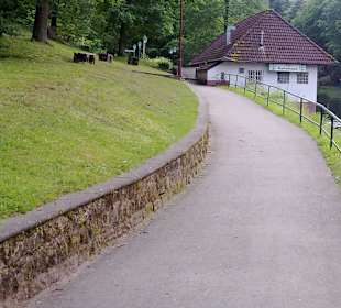 Felsenweg am Bärenloch in Kindsbach