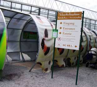 Schmetterlingshaus Eingangsbereich