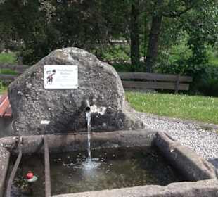 Wanderung Klosterquelle Klosterreichenbach