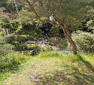 Waimangu Volcanic Valley