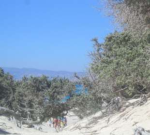 Weg zum Golden Beach