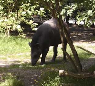 Tierpark Hagenbeck