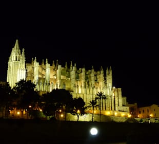 Jeden Abend die erleuchtete Kathedrale zu sehen