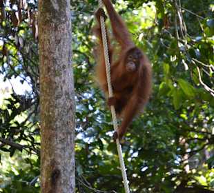 Auf gehts zur Fütterung