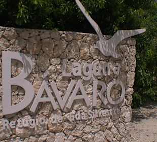 Laguna Bavaro