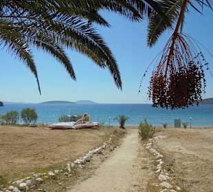 Strand in Tolo