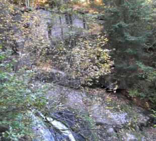 Triberger Wasserfälle