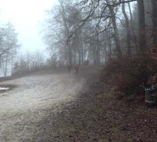 Auernheimer Krippenweg