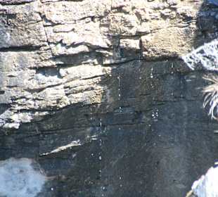 .....Blick nach unten!