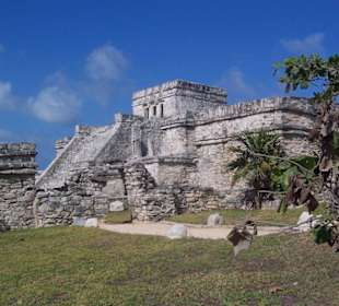 Maya Stadt Tulum
