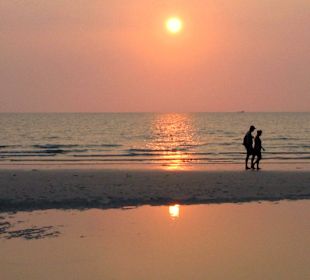 Ein letzter Spaziergang!?