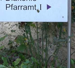 Evangelisches Pfarramt