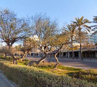 Promenade am frühen Morgen im März 17