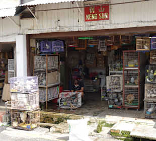 Pocztówki z Malakki - starówka 