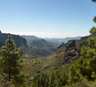 Auf dem Weg zum Roque Nublo