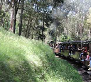 Mit der Puffing Billy Dampfbahn unterwegs