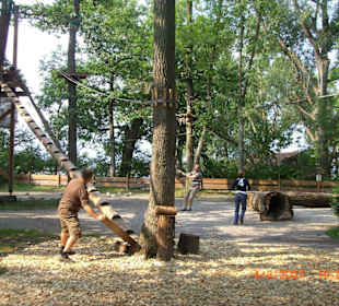 Gelände des Hochseilbaumgartens