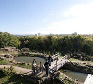 Thüringer Zoopark Erfurt 