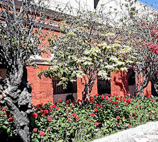 Santa Catalina Kloster