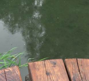 Forellenbächle Glacis Park