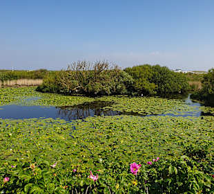 Insel Helgoland