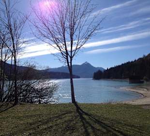 Der Walchensee