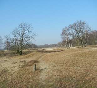Wunderschöne Boberger Niederung