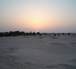 El Faouar